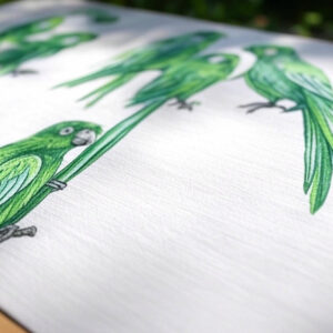 Laser Micronised Pigments Parrot Green TPI